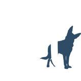 Forever Boo Pet Store